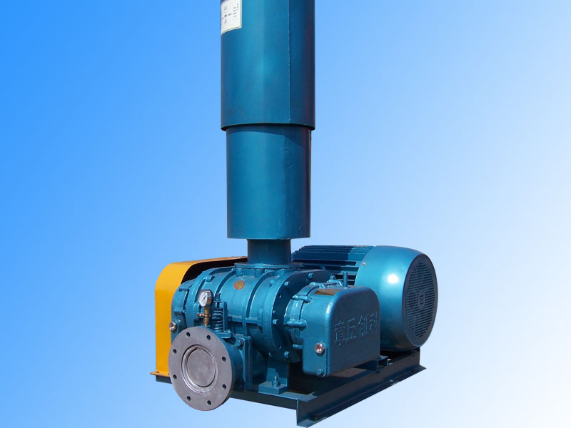 羅茨鼓風(fēng)機拆解圖